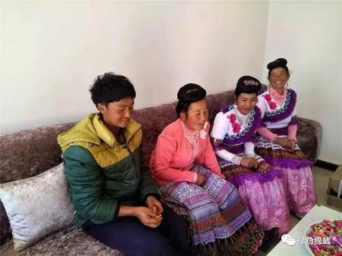 图片3