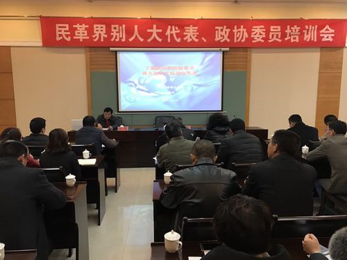 民革界别人大代表、政协委员培训会1