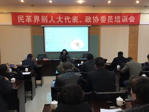 民革界别人大代表、政协委员培训会3