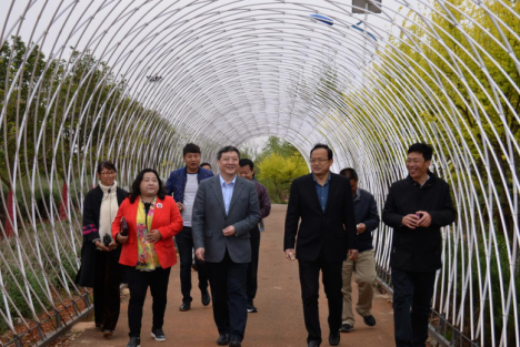 台湾团到石林参观 台湾团到石林参观