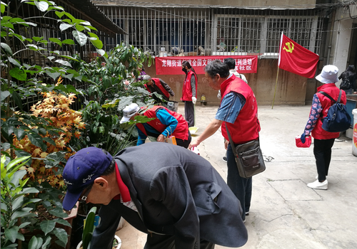 五华区志愿者1