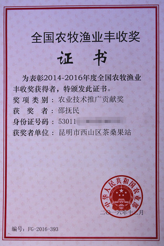 丰收奖证书_副本