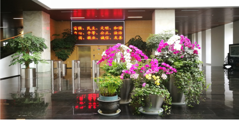 [简报4期]再督查、再整改、再提升337