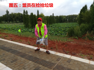 创文见真情 文明出游事关你我他551