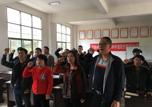 图片7