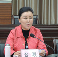 台联代表