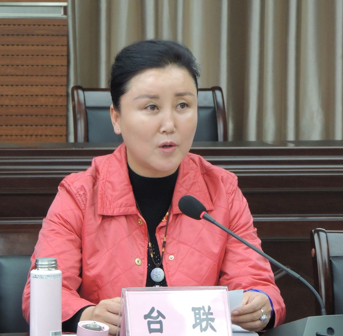 台联代表