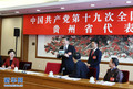 10月19日，习近平同志参加党的十九大贵州省代表团讨论。这是遵义市播州区花茂村党总支书记潘克刚将一幅鸟瞰村子新貌的照片送到习近平面前。习近平起身接过照片，边看边称赞：“这是风景画，很漂亮！”
