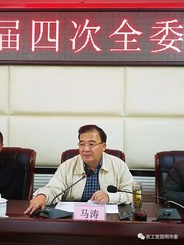 农工党昆明市委马涛主委传达“农工党十六大会议”精神，并作“农工党昆明市委2017年工作报告”