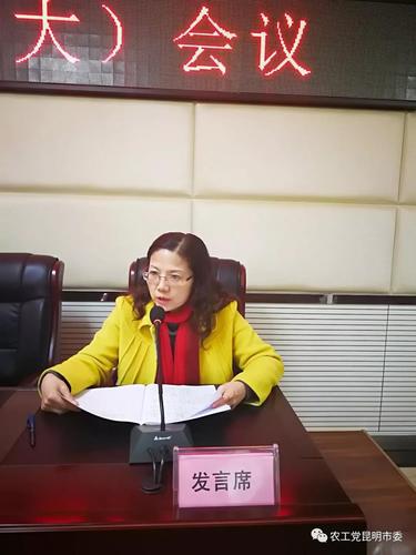 参会党员代表发言，交流学习心得并针对工作报告提出意见和建议