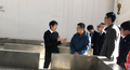 同企业深入的交流