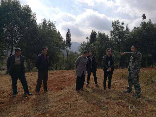 协调投入资金 助力基础建设