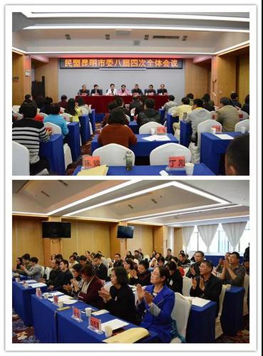 民盟昆明市委召开第八届委员会第四次全体会议