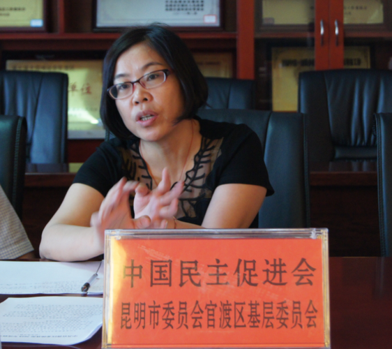 区属各民主党派课题组负责人积极发言