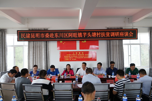 民建昆明市委与阿旺镇及芋头塘村委会领导召开扶贫调研座谈会