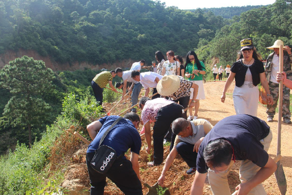 大家共栽植柳沙1000余株