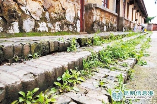 营房门前的青砖