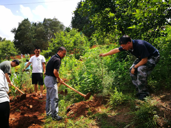 毕富兴部长参与植树活动