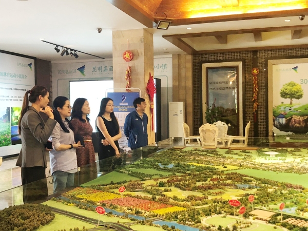 王蓉到嵩明调研统战工作，提了这些要求