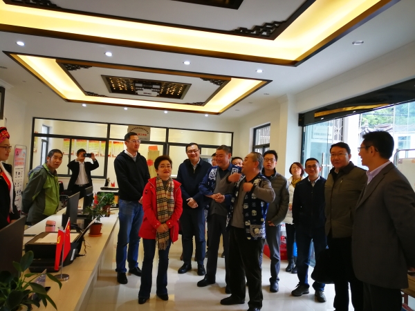 杨部长现场调研1