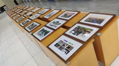 书画摄影展