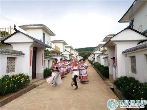 图片3
