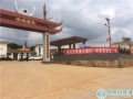 图片6