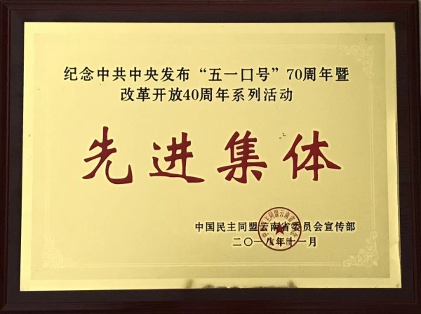 先进集体奖牌
