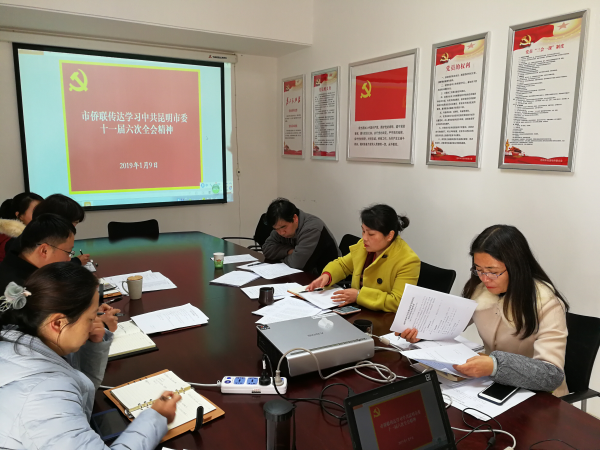 昆明市侨联组织传达学习市委十一届六次全会精神