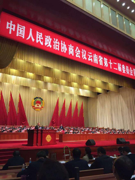 台盟界别委员杨圣元在省政协十二届二次会议上建言发声