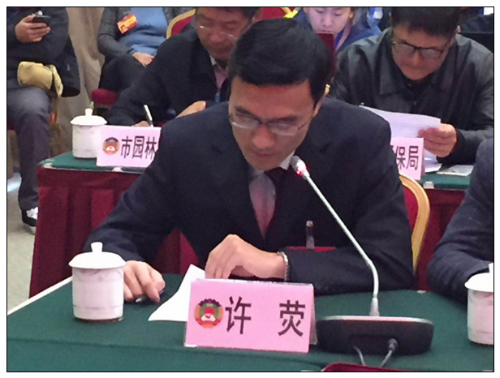 图片12
