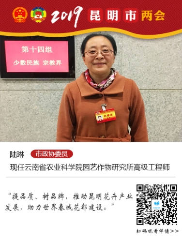 陆琳