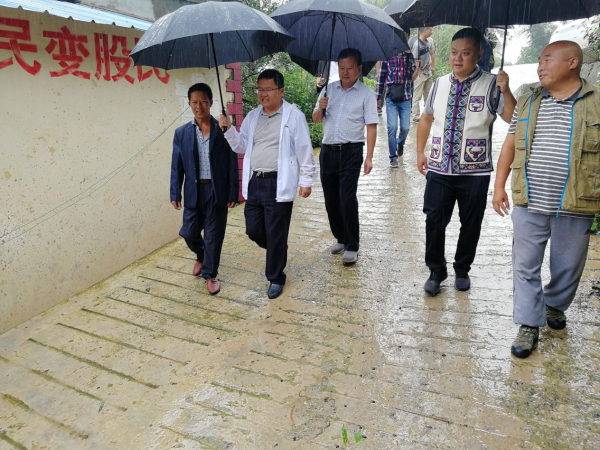 调研组一行来到耿家营乡中岭干苗族村