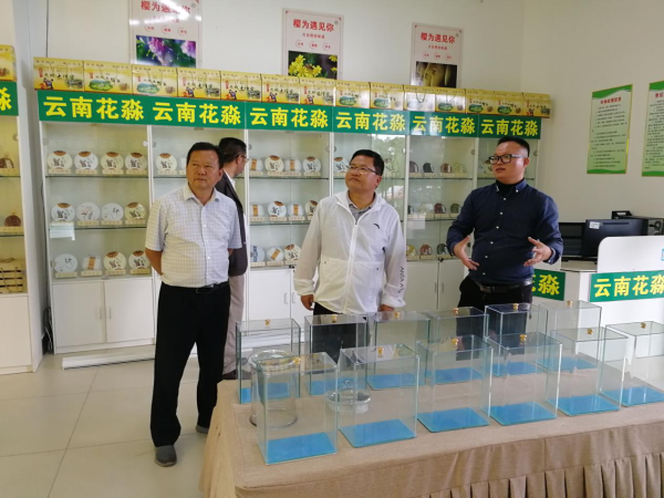 对企业经营情况进行调研