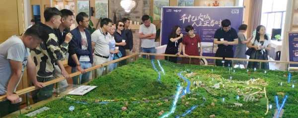 民革重庆市委考察安宁康养产业发展