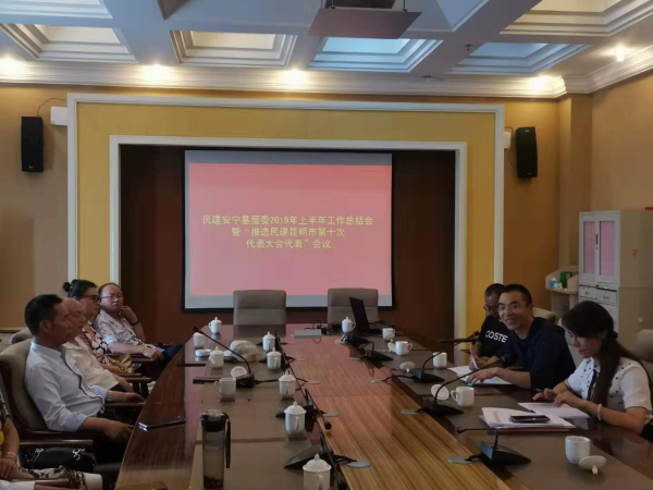 民建安宁市基层委员会组织召开会议部署下半年工作重点