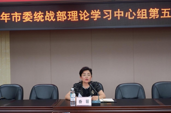 市委常委、市统战部部长、市委社工委书记杨皕主持会议并讲话。