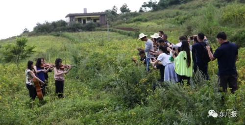 李子沟开花洋芋丰收节