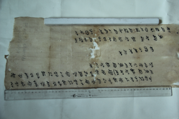 语言文字保护工作