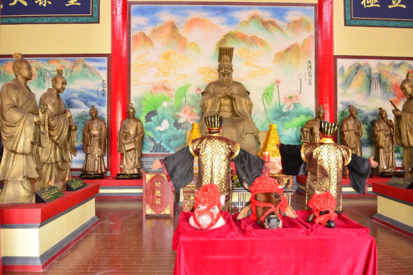 图片8