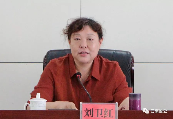 致公党昆明市委组织参加致公党云南省委参政议政工作研讨会