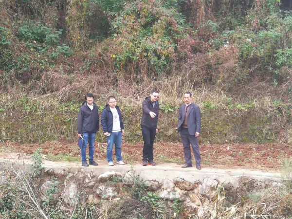 李伊巡查花菁河并对黑林铺街道“创文”工作提出要求