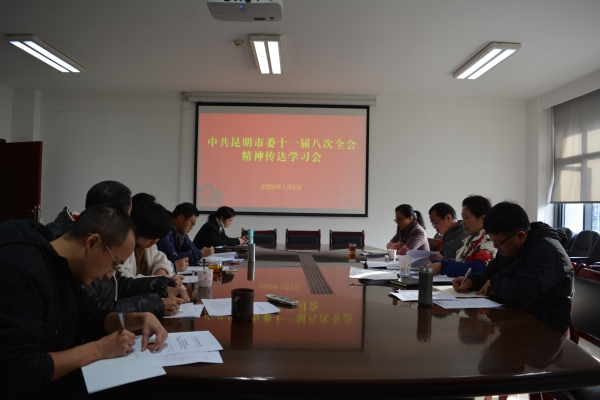 民盟昆明市委学习传达中共昆明市委十一届八次全会精神