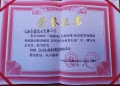荣誉证书