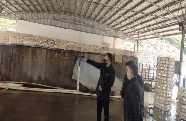 工管会帅铁城主任对温氏公司疫情防控指导督查