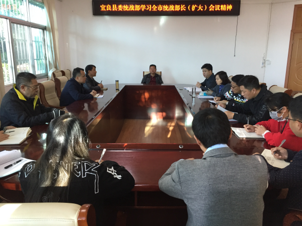 宜良县传达学习全市统战部长（扩大）会议精神