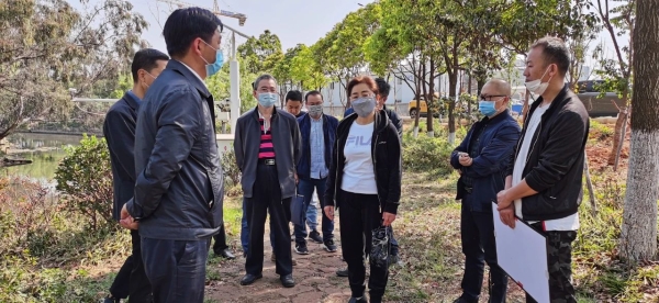 杨皕巡查金家河、正大河时提出：落实河长制筑牢河湖生态屏障
