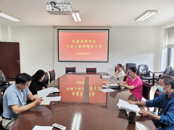 民盟昆明市委内部控制领导小组召开专题学习会