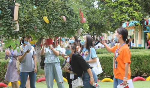 图片7 图片7