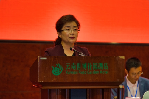 杨皕讲话